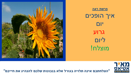 Read more about the article איך אנחנו יכולים להפוך כל יום ליום מוצלח?